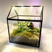 Terrarium Greenhouse with LED Light