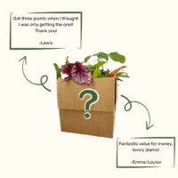 mystery rescue plant box imperfect bag
