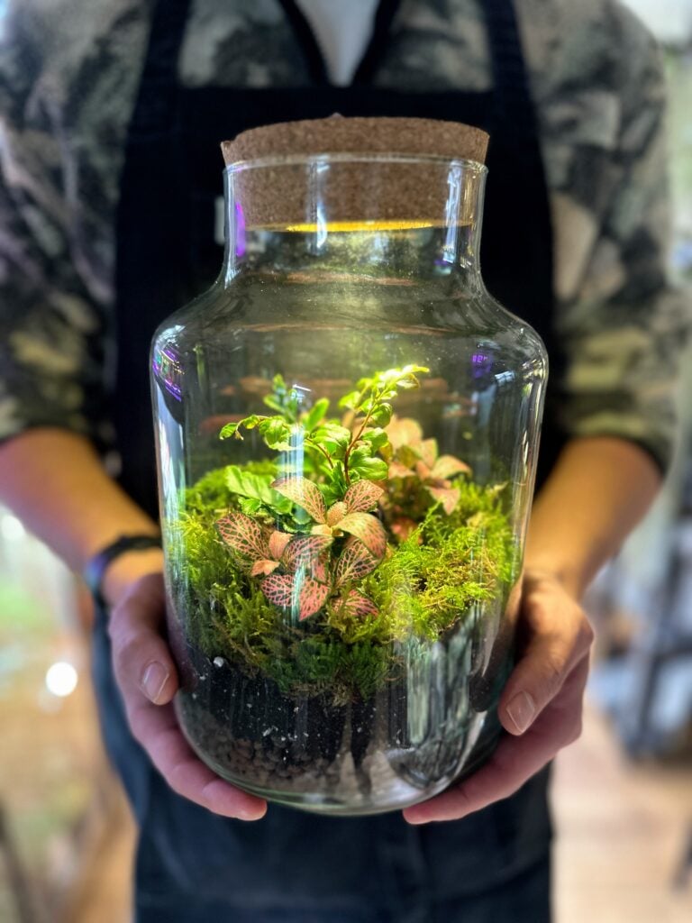 How a Closed Terrarium Ecosystem Works: Do Terrariums Need Water or Air