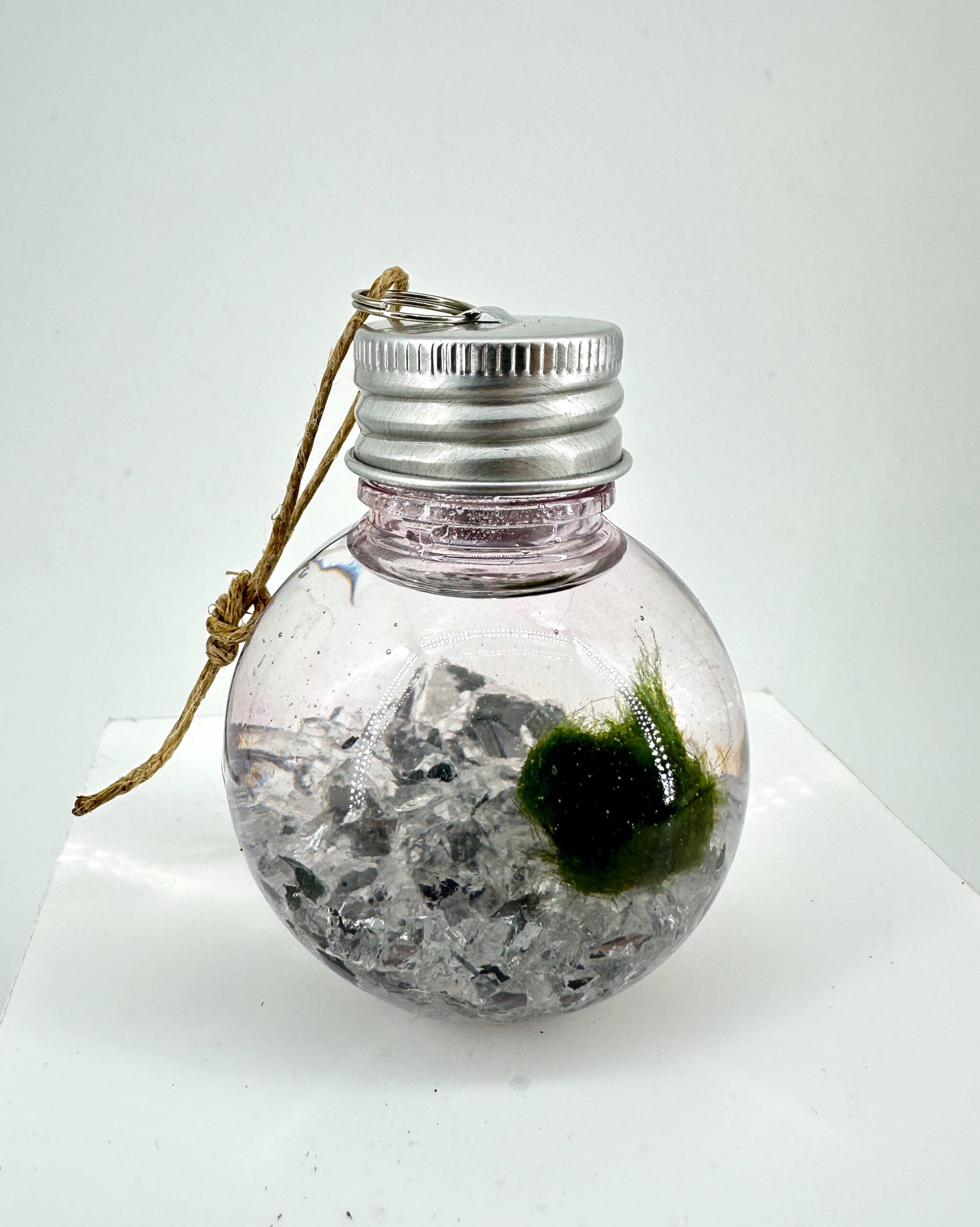 Mini Marimo Moss Ball Bauble with silver mirror pebbles, eco-glass ornament with living Marimo moss and reflective stones from Highland Moss.