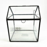 Terrarium Greenhouse with LED Light