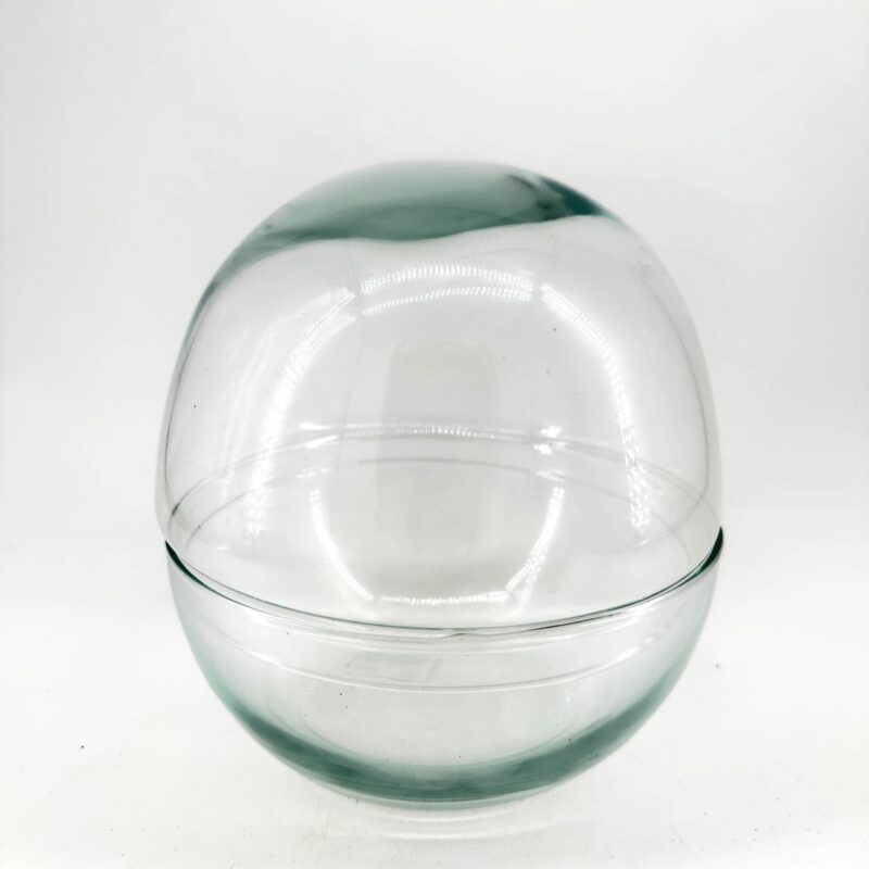 Terrarium Globe Dome Eco-Glass Terrarium Globe Dome Eco-Glass