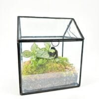 Terrarium Greenhouse with LED Light
