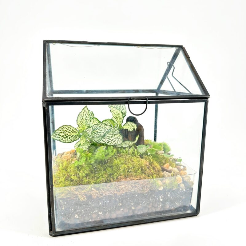 Terrarium Greenhouse with LED Light Terrarium Greenhouse with LED Light