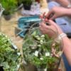 Harbour Energy Classic Terrarium Workshop 17th June 5:30PM 10pax