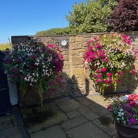 Customer hanging baskets filled with vibrant summer flowers, planted using Highland Moss fresh sphagnum moss for moisture retention and healthy growth