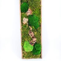 Rectangular preserved moss art titled Highland Forest Patch Moss Art featuring rich green moss, bark pieces and natural textures arranged in a reclaimed wood frame, handmade in Aberdeen Scotland.