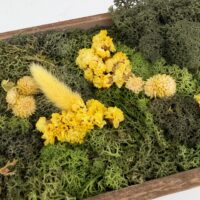 Close up of preserved wildflower moss art showing mixed green moss, reindeer moss and bright yellow dried flowers arranged in a rustic wooden frame.