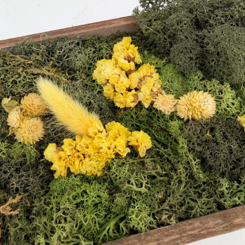 Handmade Wildflower Meadow Moss Art Close up of preserved wildflower moss art showing mixed green moss, reindeer moss and bright yellow dried flowers arranged in a rustic wooden frame.