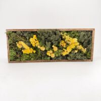 Rectangular preserved moss and dried flower artwork with layers of green moss and yellow blooms inside a reclaimed wooden frame, handmade in Aberdeen.