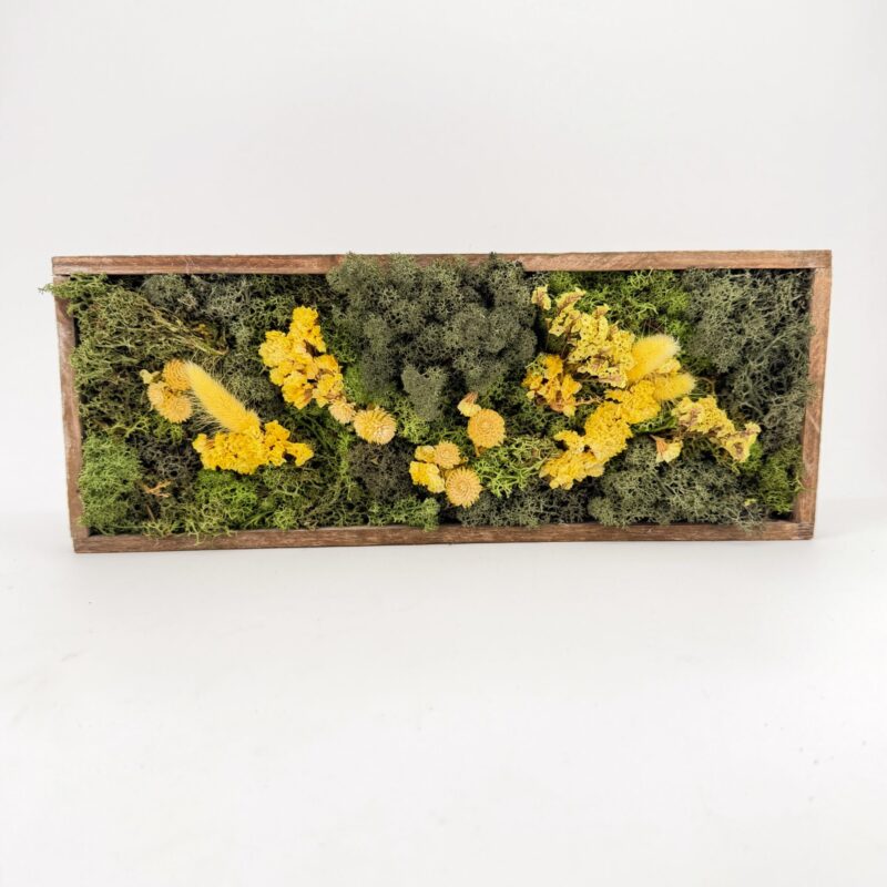 Handmade Wildflower Meadow Moss Art Rectangular preserved moss and dried flower artwork with layers of green moss and yellow blooms inside a reclaimed wooden frame, handmade in Aberdeen.