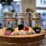 Mini Marimo Moss Keyring with a Wee Decoration