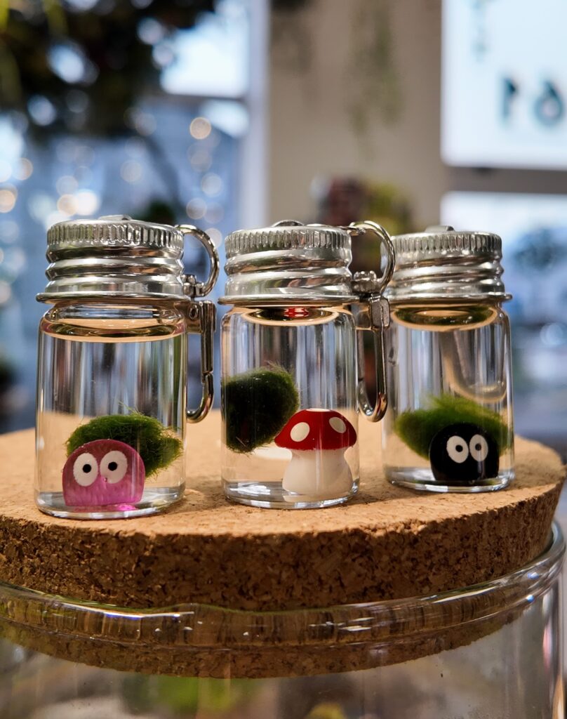Mini Marimo Moss Keyring with a Wee Decoration