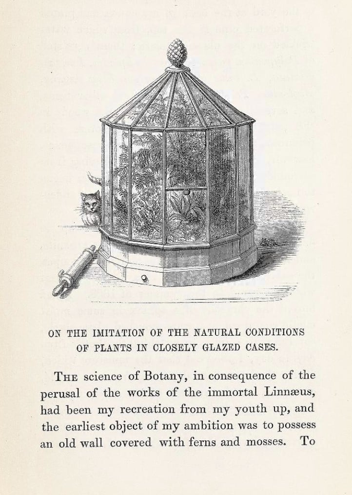 The Discovery of the Terrarium: How a Simple Accident Changed Plant Science Forever