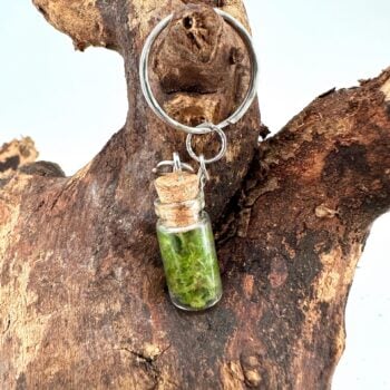Moss Terrarium Keyring