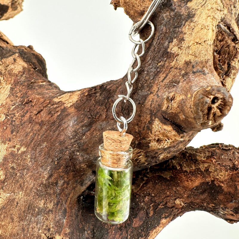 Moss Terrarium Keyring Moss Terrarium Keyring