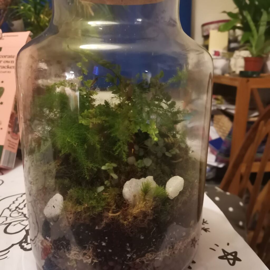 Image #1 from Frances Malcolm