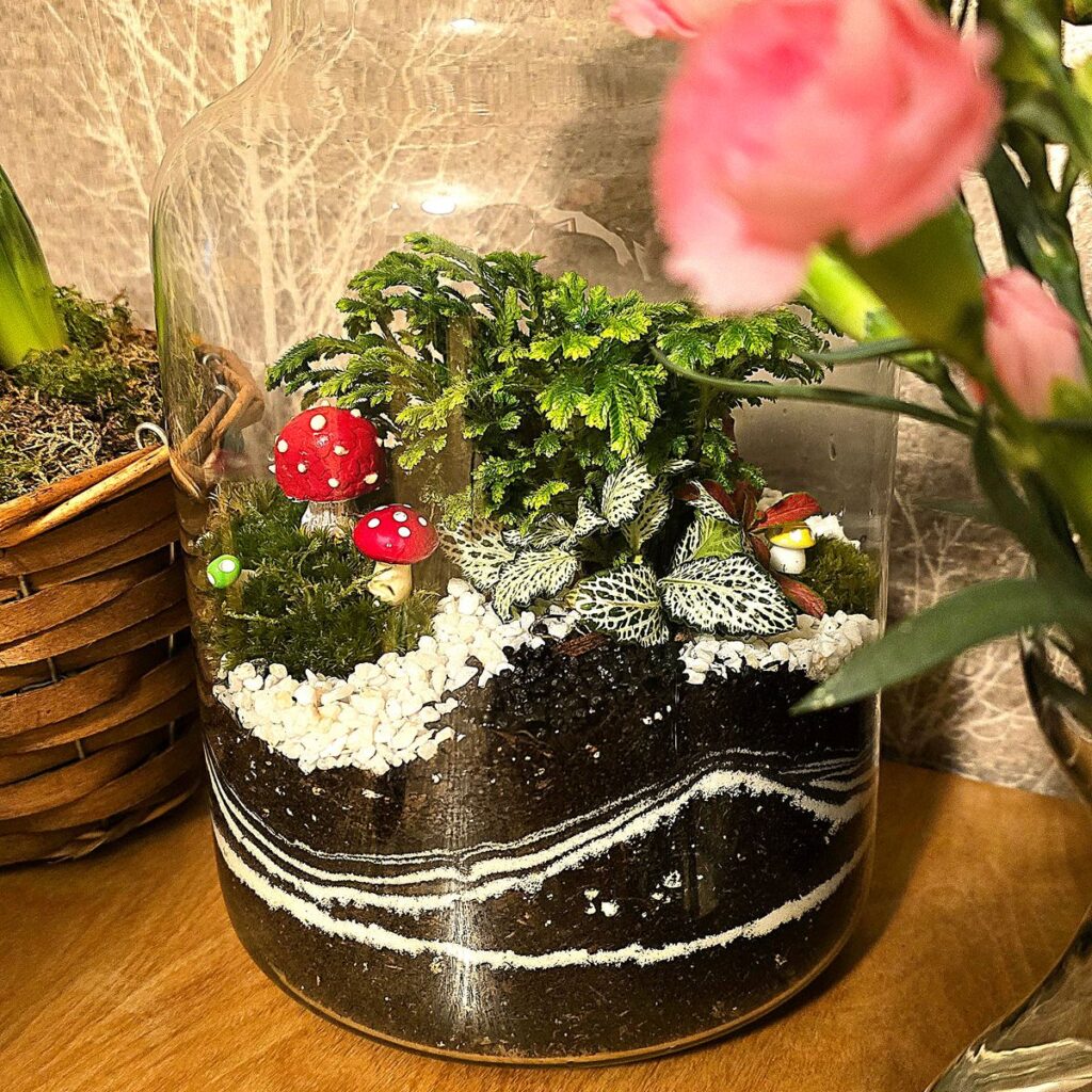 Image #1 from Brodowska