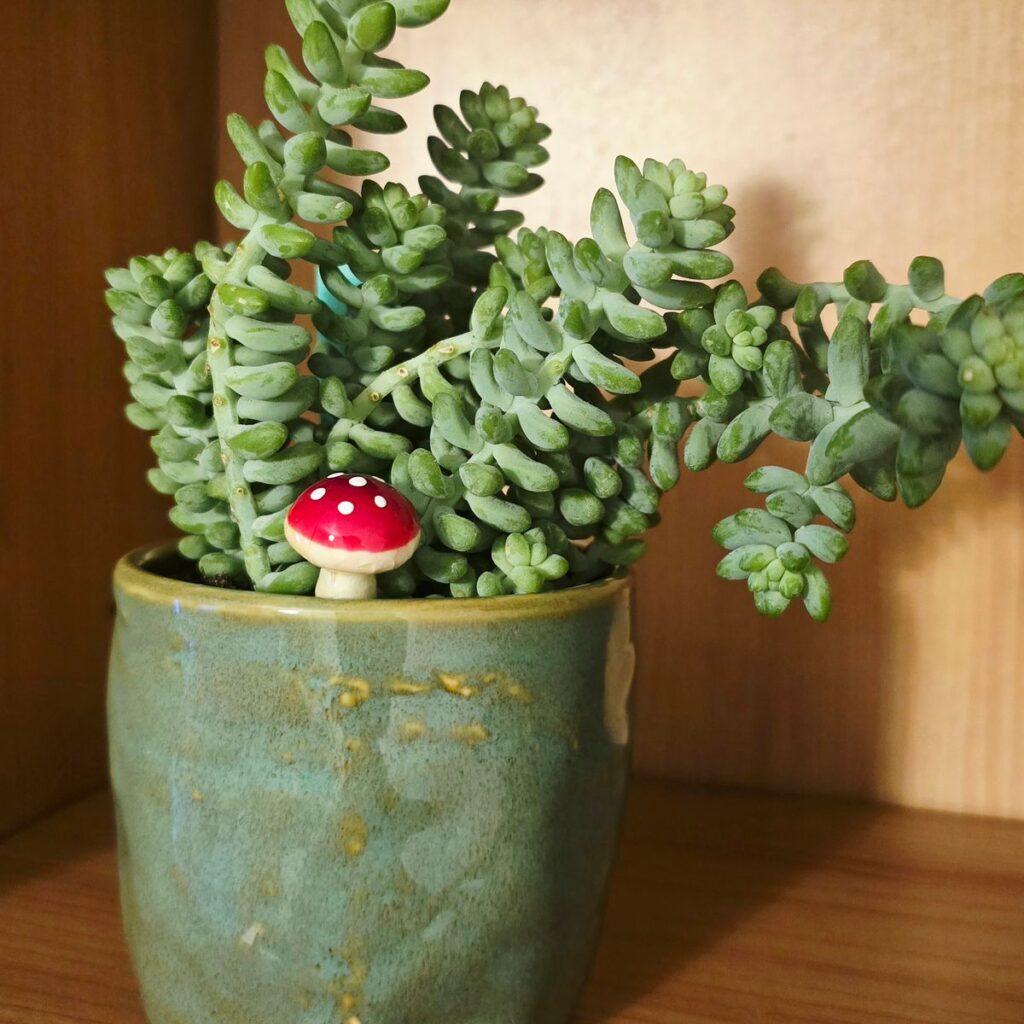 Image #1 from Marlena