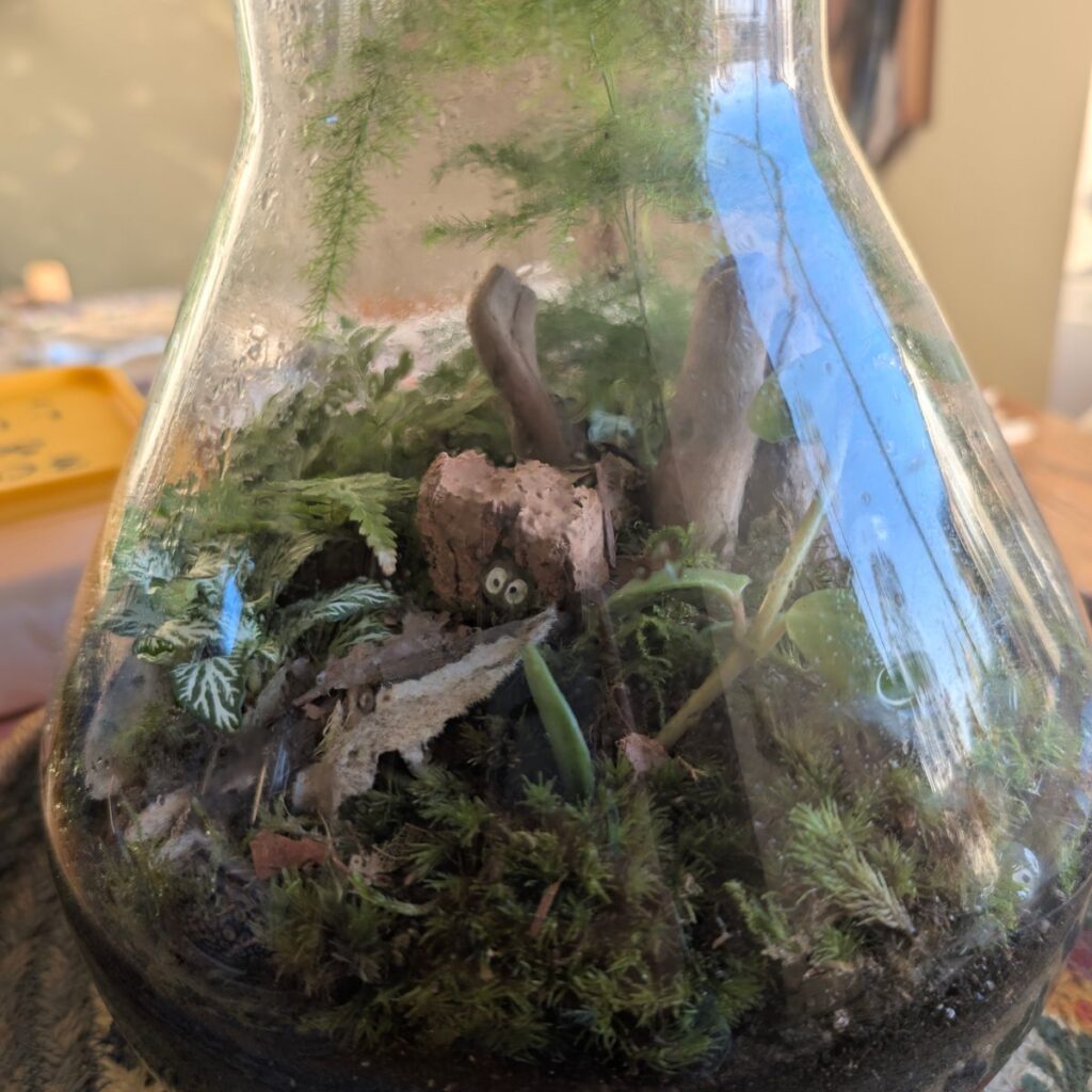 Image #1 from Yasser Mahmood