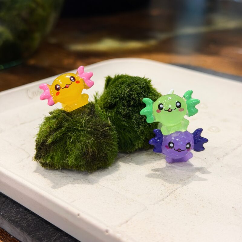 Marimo Moss Ball Kit with Cute Axolotl Decoration Marimo Moss Ball Kit with Cute Axolotl Decoration