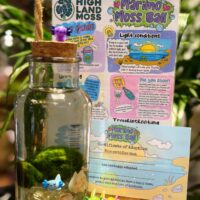 Marimo Moss Ball Kit with Cute Axolotl Decoration