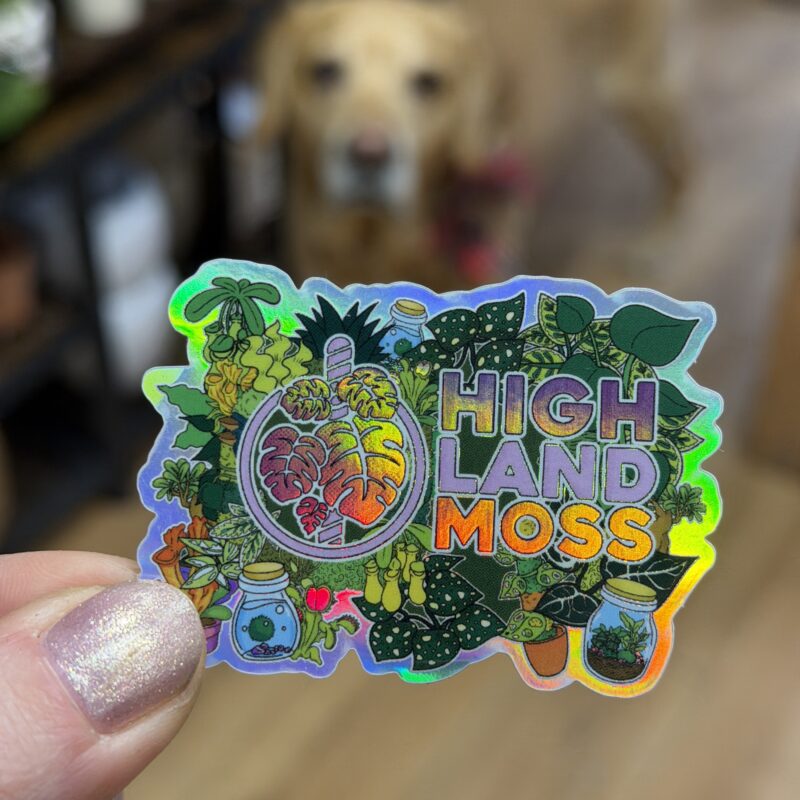 Highland Moss Holographic Sticker Highland Moss Holographic Sticker