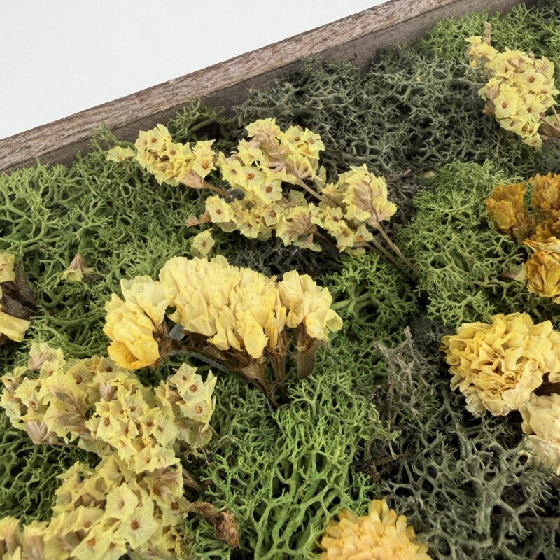 Moss Art DIY Kit WILDFLOWER MEADOW Handmade Wildflower Meadow Moss Art (Copy)