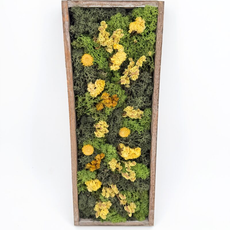 Moss Art DIY Kit WILDFLOWER MEADOW Handmade Wildflower Meadow Moss Art (Copy)