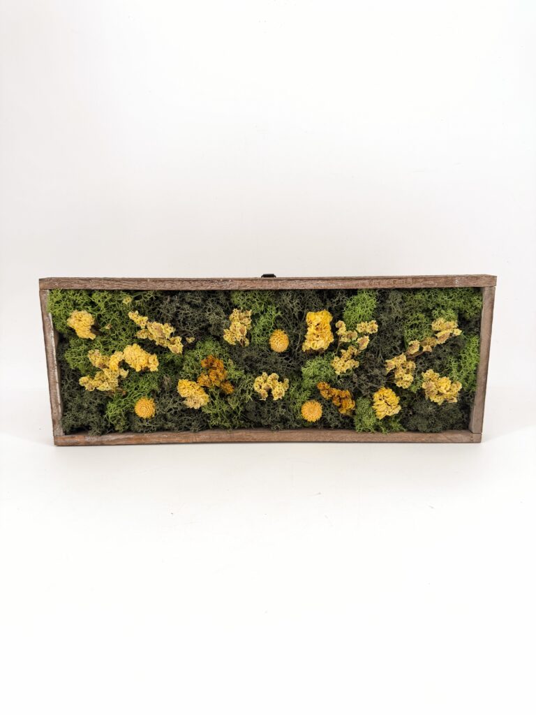 Handmade Wildflower Meadow Moss Art (Copy)