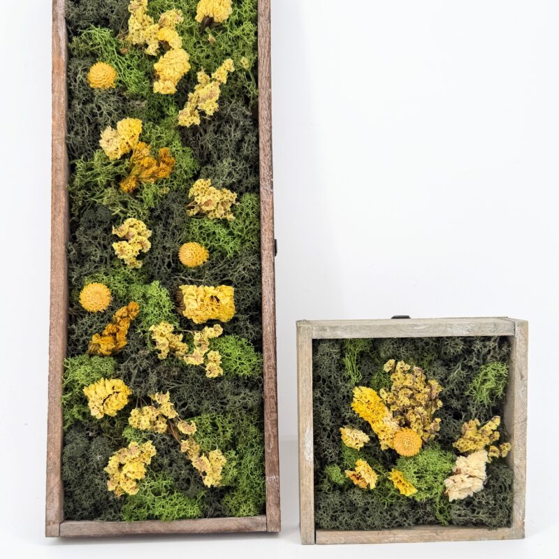 Moss Art DIY Kit WILDFLOWER MEADOW Moss Art DIY Kit WILDFLOWER MEADOW – 40x15cm Brown Wood