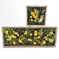 Moss Art DIY Kit WILDFLOWER MEADOW – 40x15cm Brown Wood