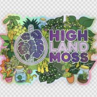 Highland Moss Holographic Sticker