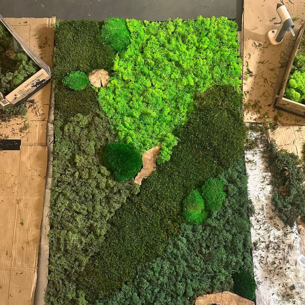 Image #1 from Ainsley