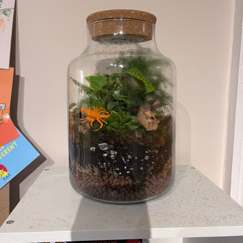 Image #1 from Lera K.