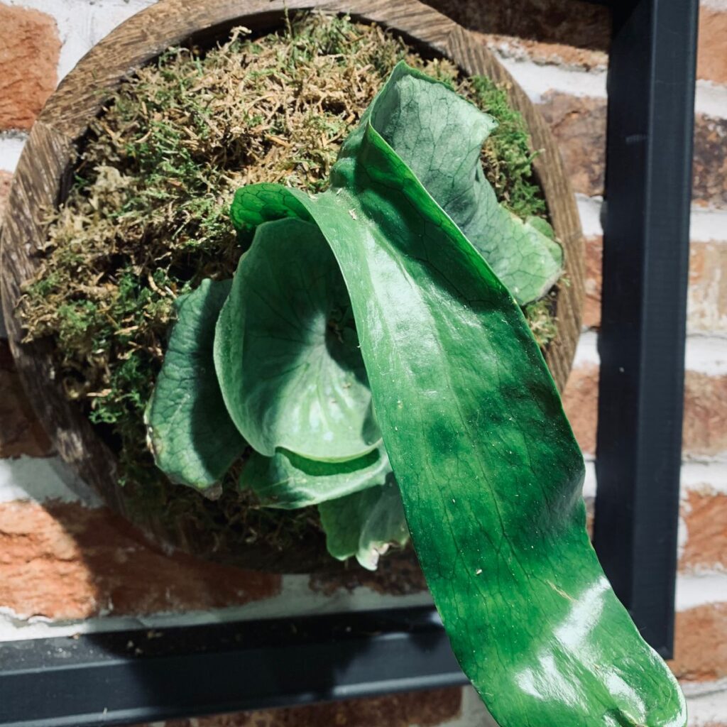 Image #1 from claire armstrong