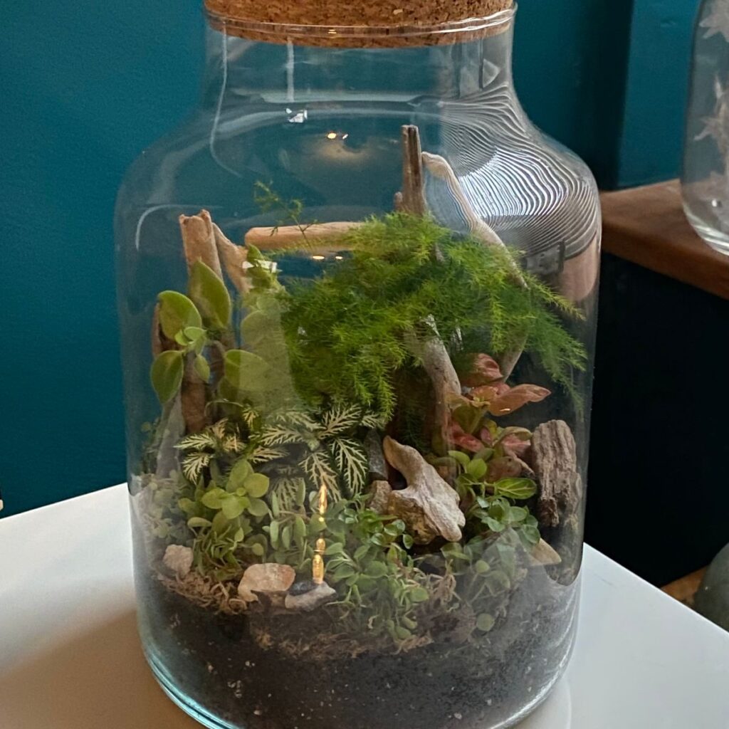 Image #1 from Maxine Hanley