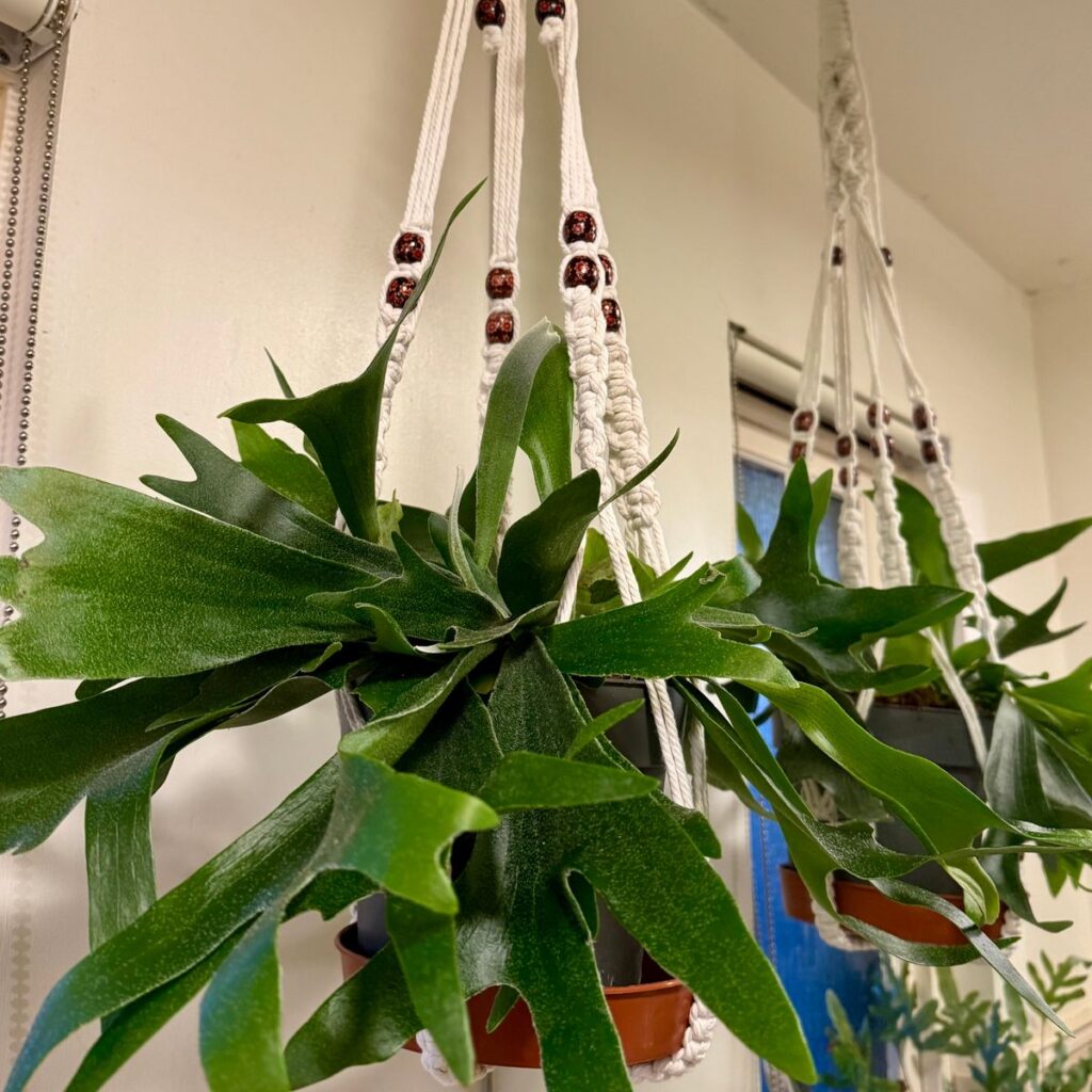 Image #1 from Anne Davies