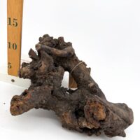 Natural Kuwa Root for Terrariums Natural Wood Hardscape