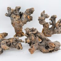 Natural Kuwa Root for Terrariums Natural Wood Hardscape