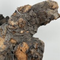 Natural Kuwa Root for Terrariums Natural Wood Hardscape