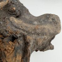 Natural Kuwa Root for Terrariums Natural Wood Hardscape