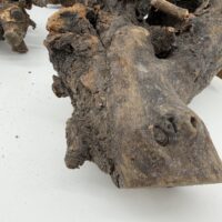 Natural Kuwa Root for Terrariums Natural Wood Hardscape