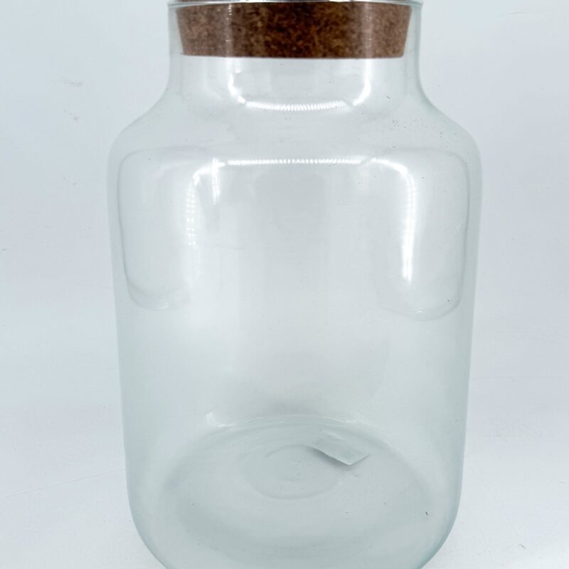 Classic Terrarium Vase With LED Light Cork Lid Classic Terrarium Vase With LED Light Cork Lid