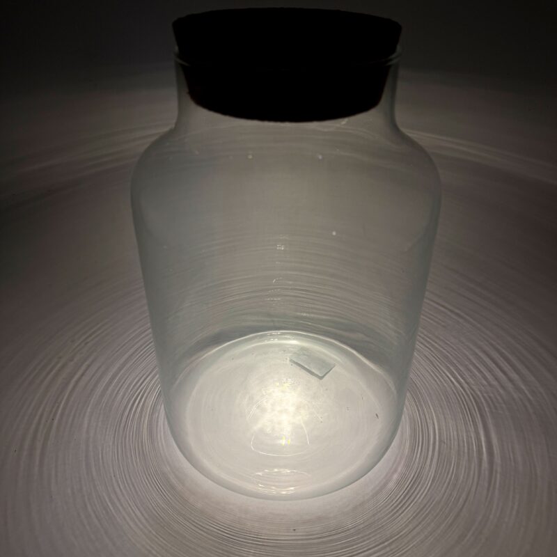 Classic Terrarium Vase With LED Light Cork Lid Classic Terrarium Vase With LED Light Cork Lid