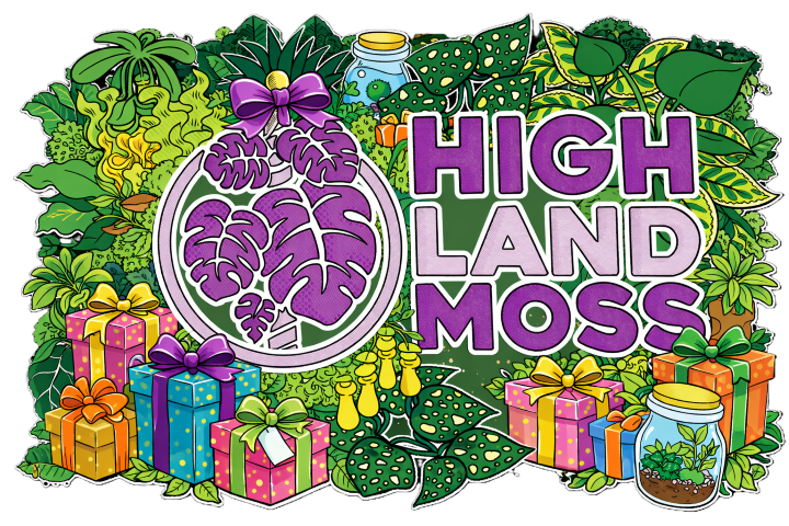 Handpicked Gift Guide