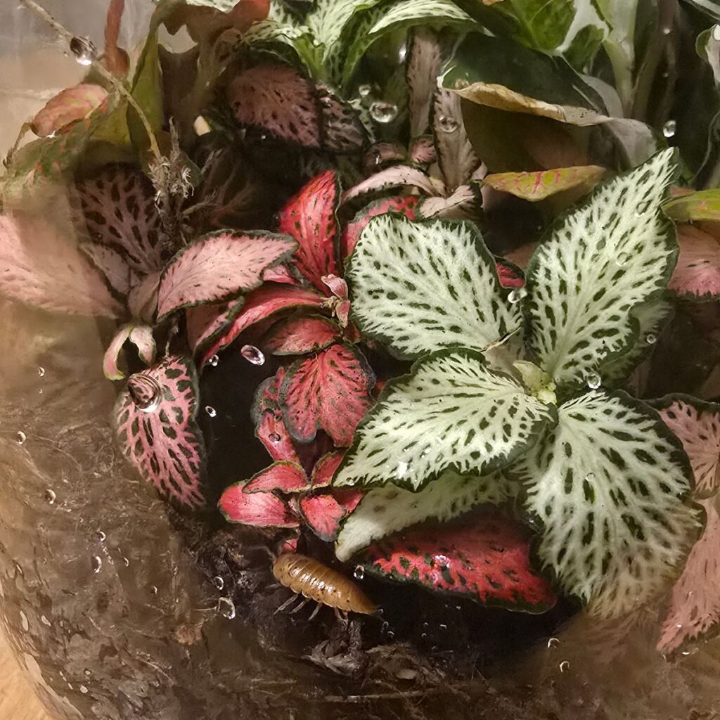 Image #1 from Marlena