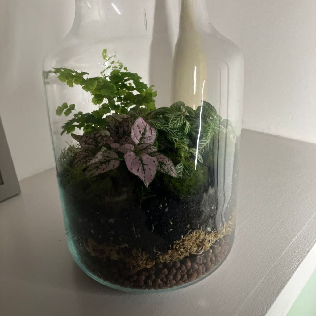 Image #1 from Denise