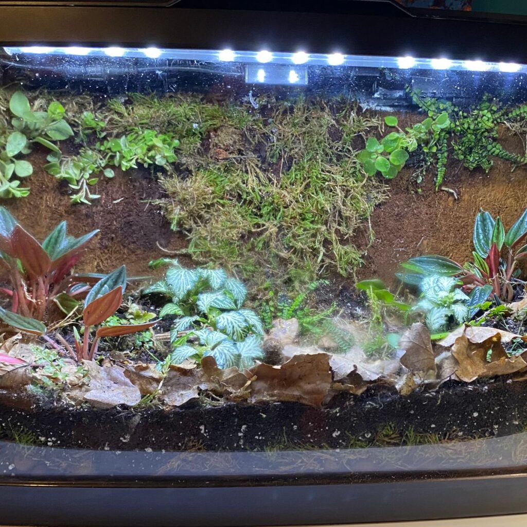 Image #1 from Maxine Hanley