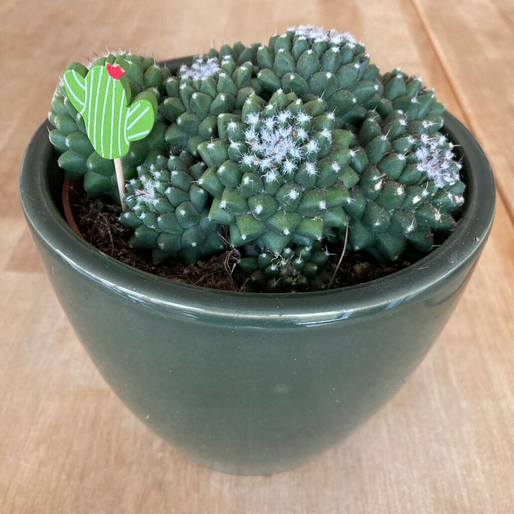 Image #1 from Kristen H.